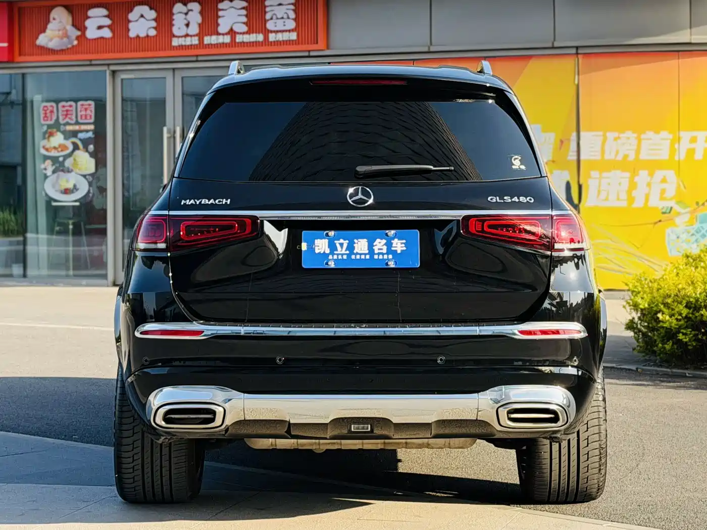 Mercedes-Benz Maybach GLS 2021 GLS 480 4MATIC фото 5