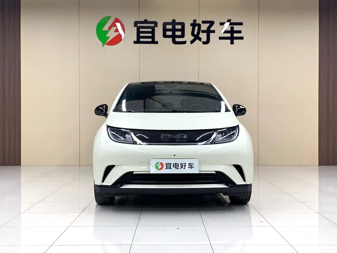 BYD Dolphin 2021 Model 405km Fashion Edition фото 2