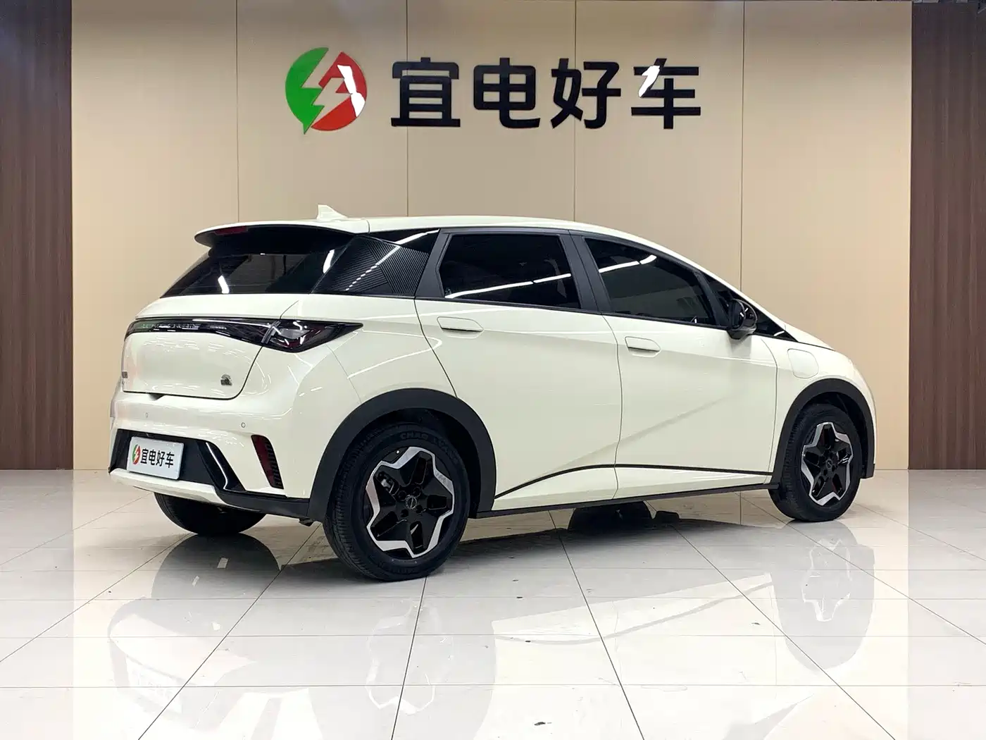 BYD Dolphin 2021 Model 405km Fashion Edition фото 5