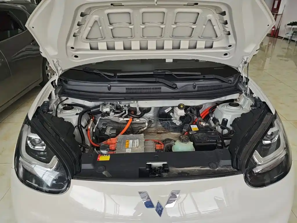 Wuling Motors Wuling Bingo 2023 2023 333km Quick Enjoy Version