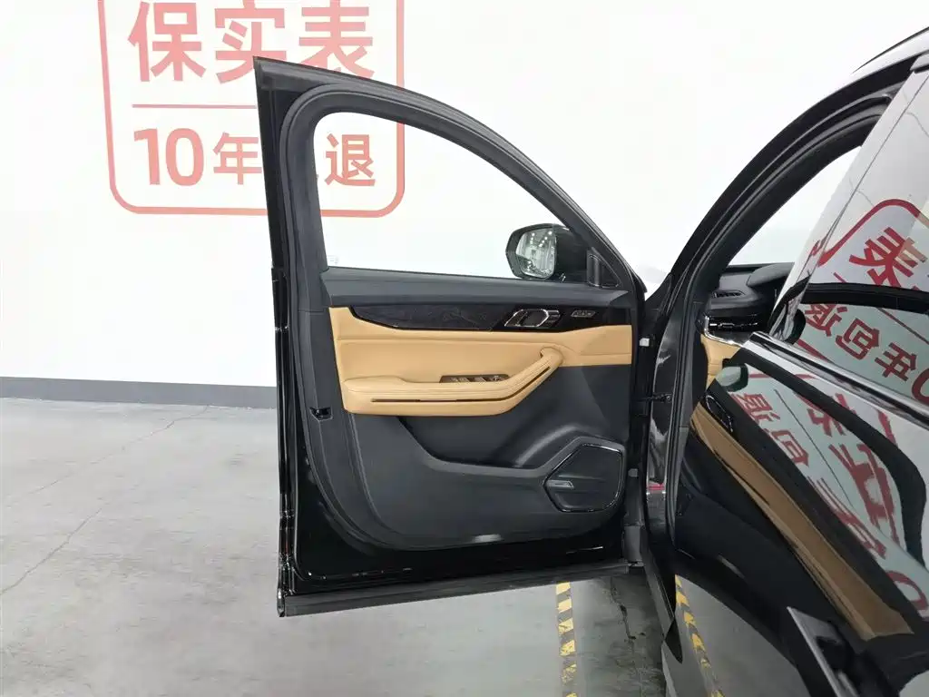 Lynk & Co 09 EM-P 2021 2.0T PHEV Ultra 6-seater фото 8