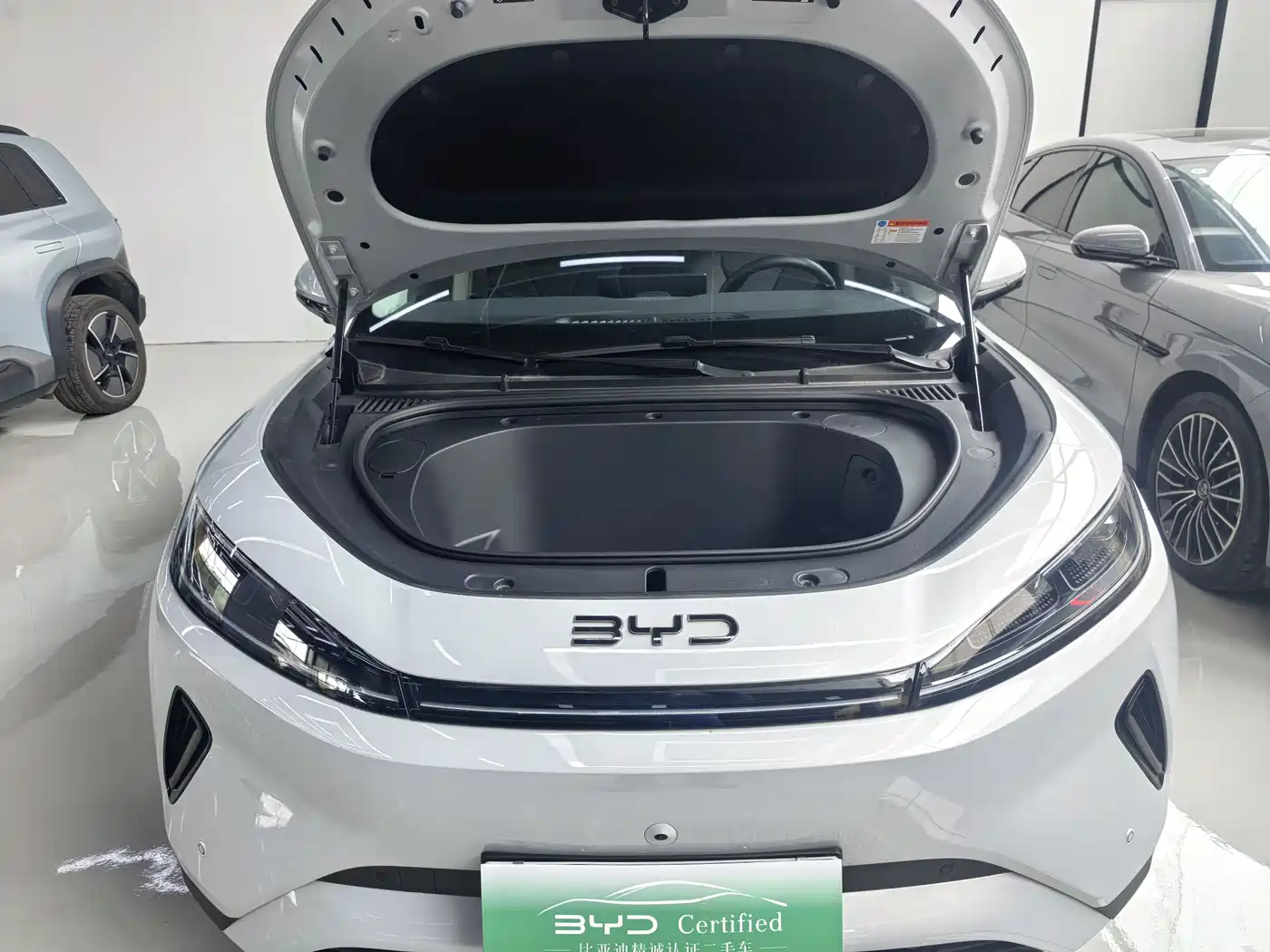 BYD Hai Shi 05 EV 2025 520KM Flagship Smart Navigation Edition фото 20