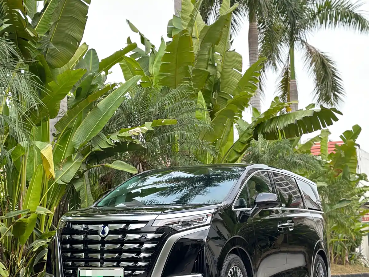 Denza D9 2024 DM-i 980 AWD Premium фото 6