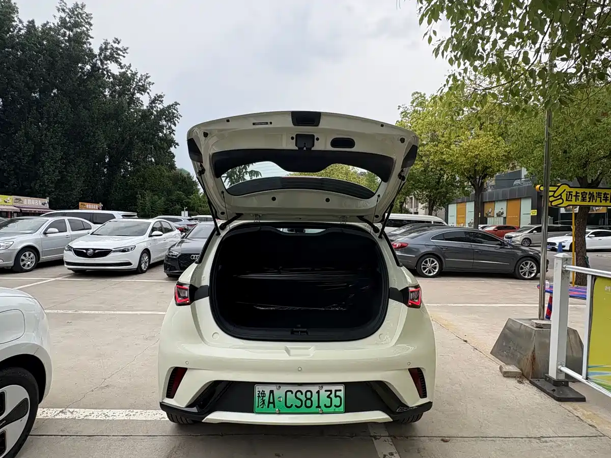 BYD Dolphin 2026 2025 420km Freedom Edition