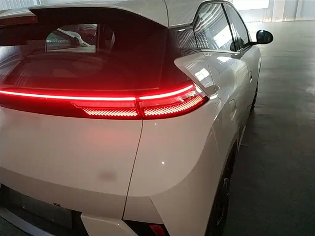 BYD Seagull 2026 2025 Smart Drive Edition 305km Vitality Version