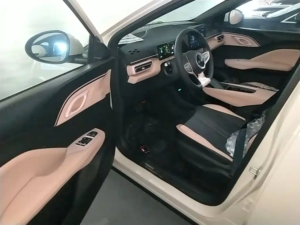 BYD Seagull 2026 2025 Smart Drive Edition 305km Vitality Version