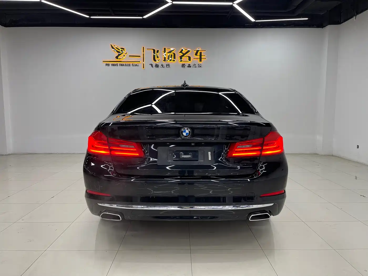 BMW 5 SERIES NEW ENERGY