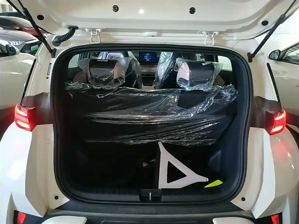 BYD Seagull 2026 2025 Smart Drive Edition 305km Vitality Version