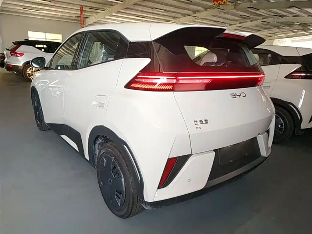 BYD Seagull 2026 2025 Smart Drive Edition 305km Vitality Version