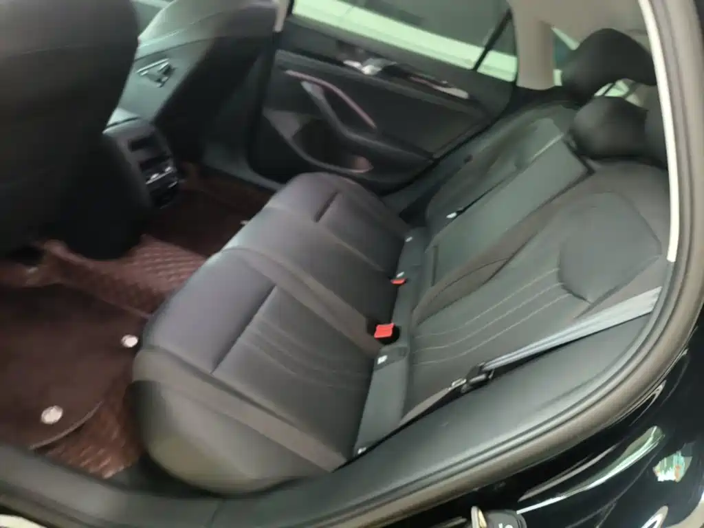 Volkswagen Magotan 2026 2024 300TSI DSG Premium Edition (Eye-catching Package)