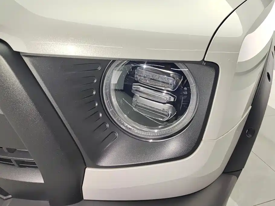 Haval Dargo 2025 2024 2.0T DCT Chinese Rural Dog Edition