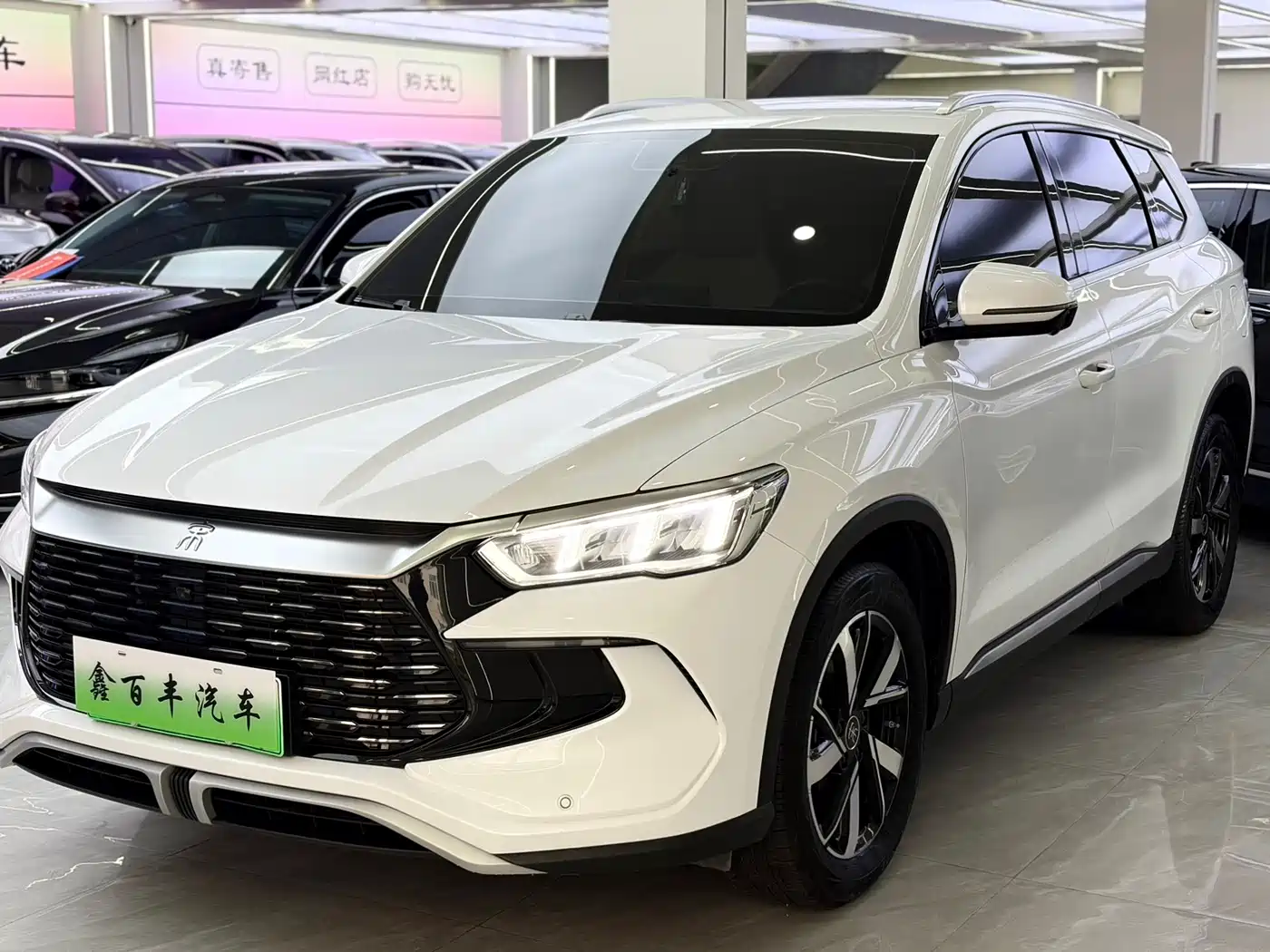 BYD Song Pro New Energy 2024 Glory Edition DM-i 71KM Pilot