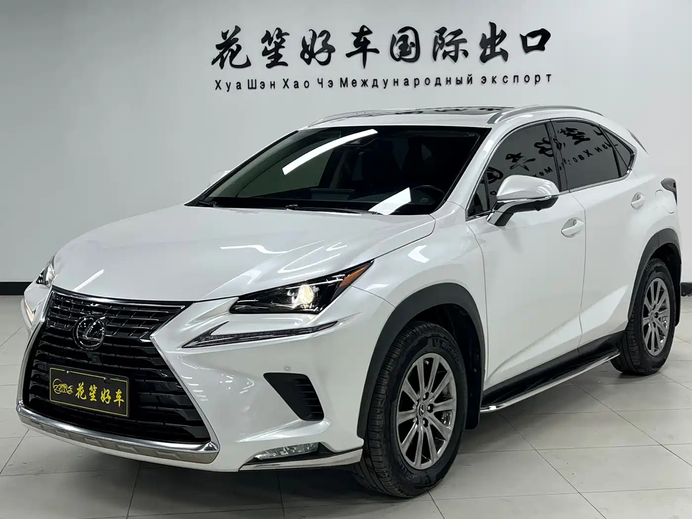 LEXUS NX