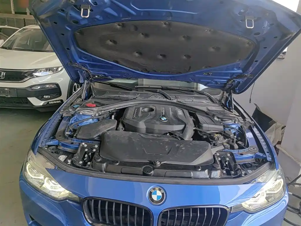 BMW 3 Series 2018 320Li M Sport Black Night Edition фото 20