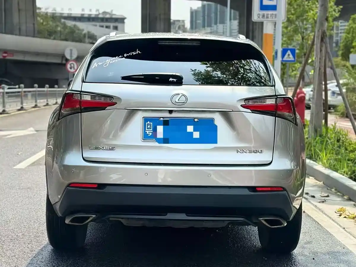 LEXUS NX