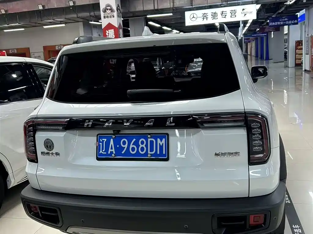 Haval Big Dog 2021 1.5T DCT 2WD Border Collie Edition фото 5