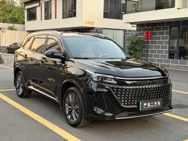Landian Landian E5 2024 Glory Edition 100KM Premium Type 7-Seater