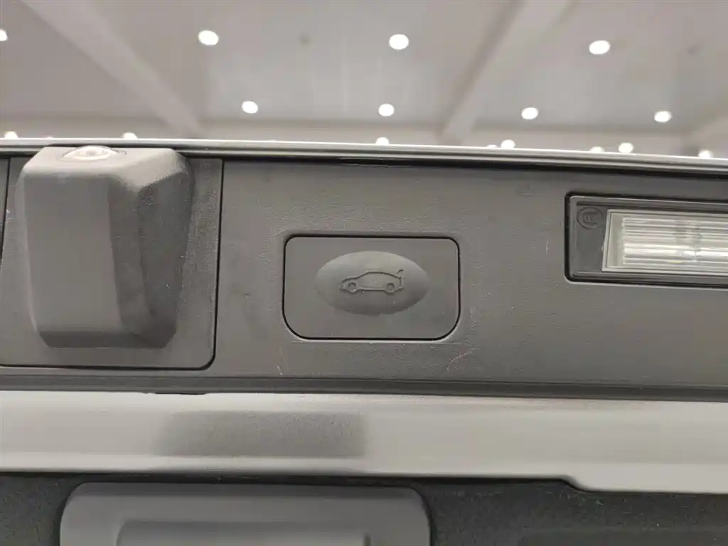 ARCFOX EXTREME FOX POLAR FOX ALPHA S5