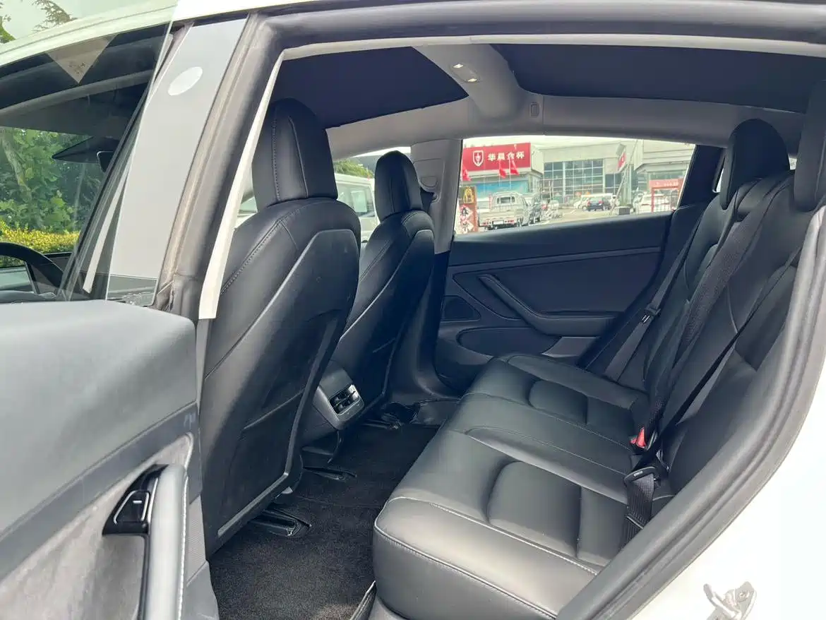 Tesla Model 3 2020 2020 Standard Range Rear-Wheel Drive Upgrade