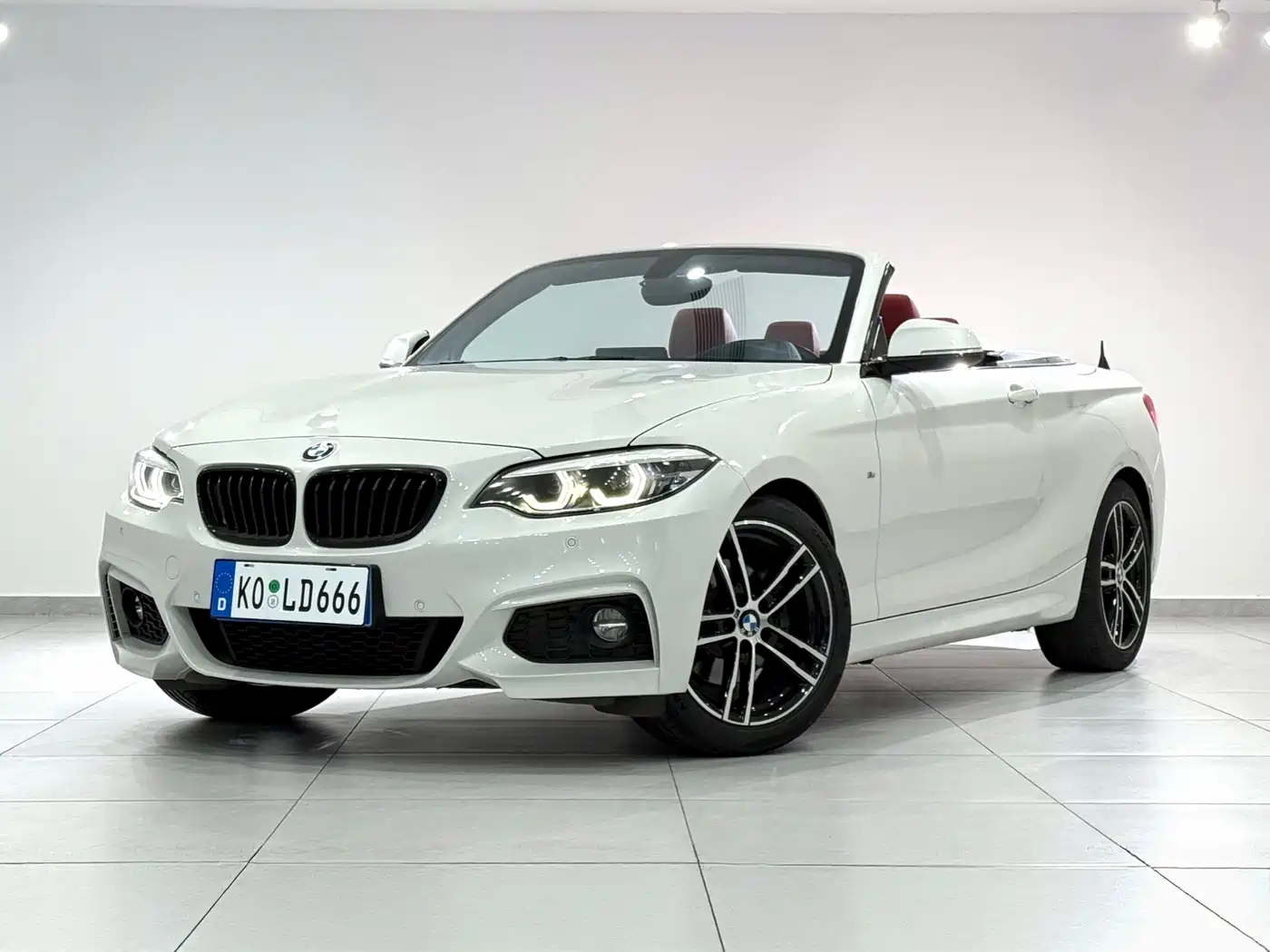 BMW 2 Series (Import) 2019 225i Convertible Coupe Exclusive M Sport Package
