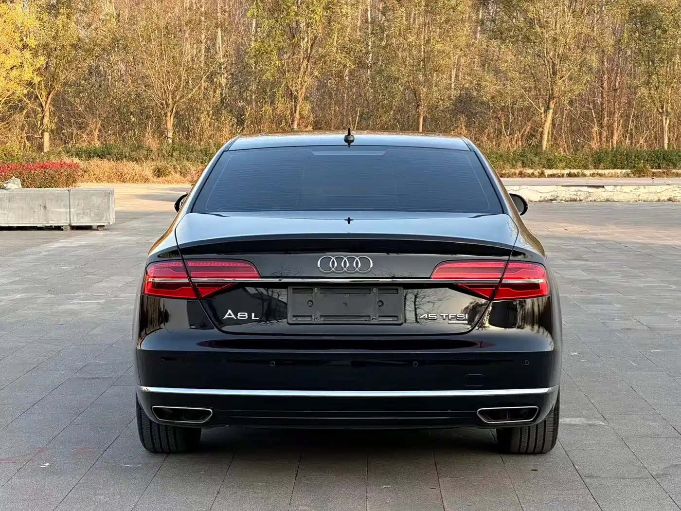Audi A8 2016 A8L 45 TFSI quattro Comfort фото 12