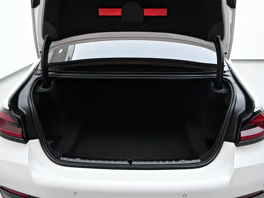 BMW 5 Series 2023 530Li Leading M Sport Package фото 35