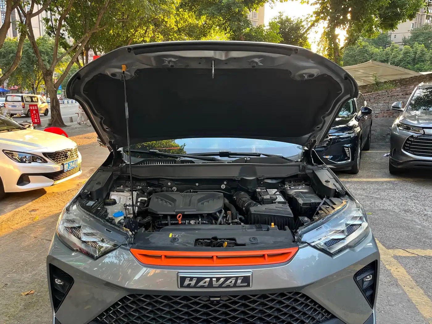 Haval H6S 2022 2022 Model 2.0T 2WD Smart Run Edition