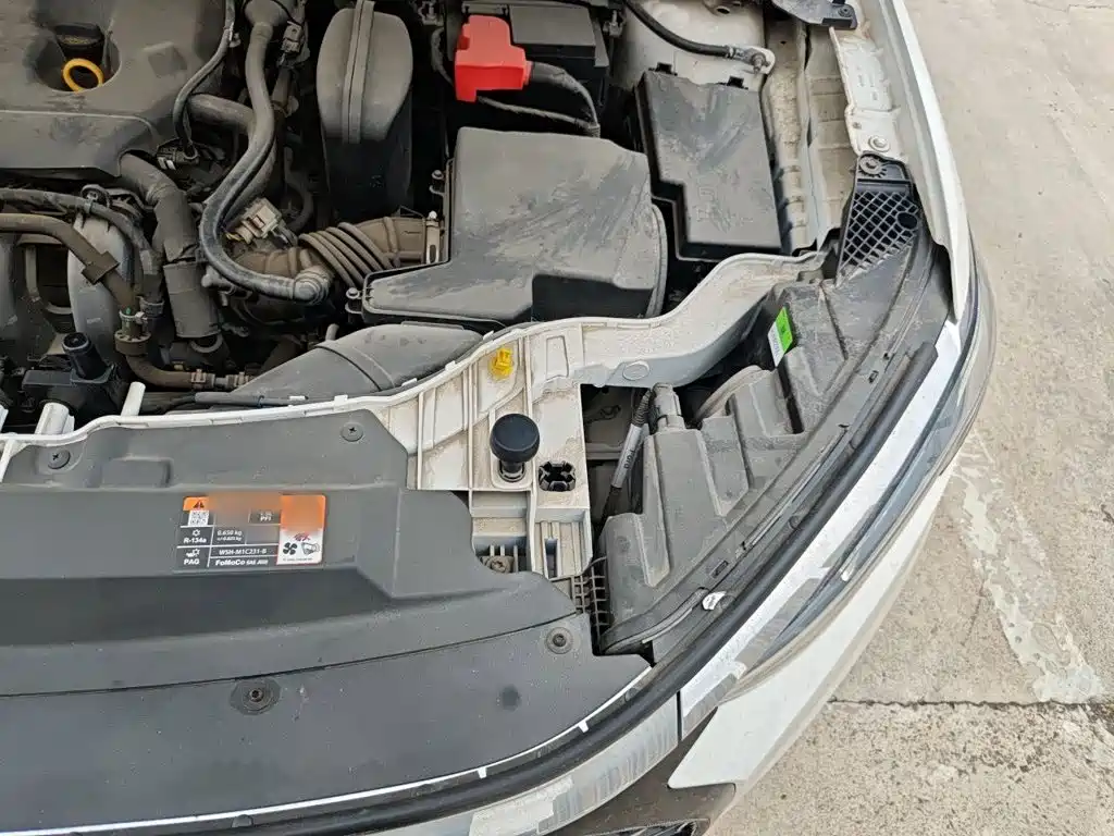 Ford Escort 2022 2021 1.5L Automatic Diamond Edition