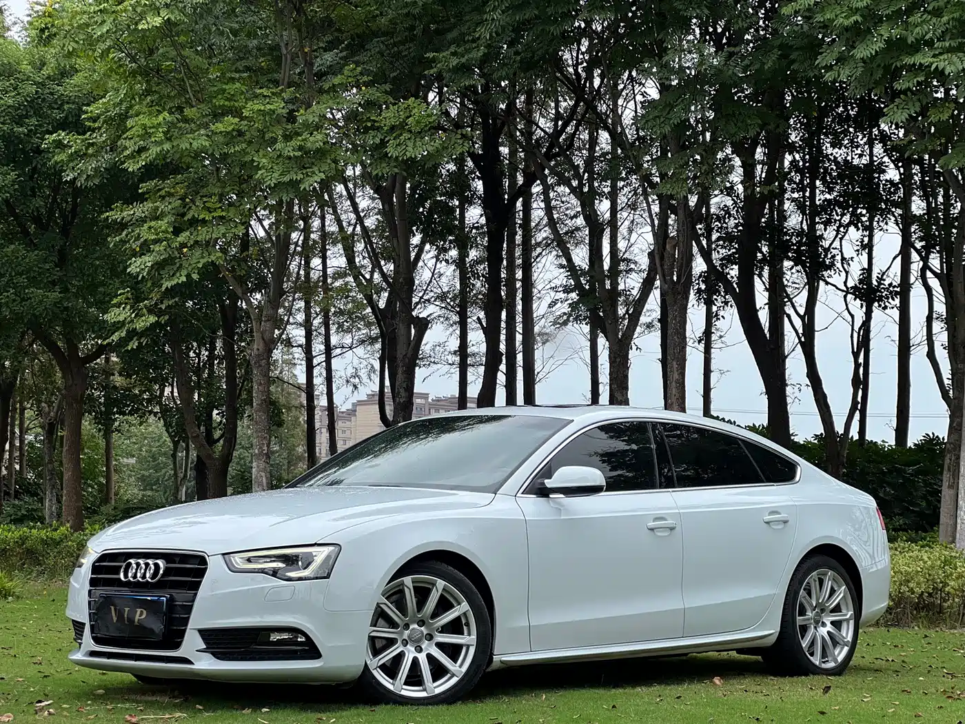 Photo 10 - Audi A5 (Import)