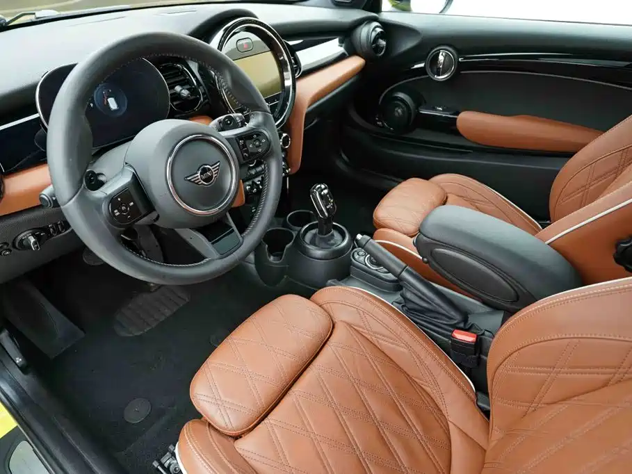 MINI MINI 2024 2023 Facelift 2.0T COOPER S Artist
