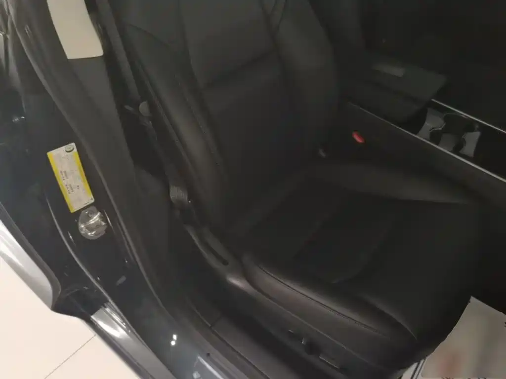 Фото 25 - Tesla Model 3