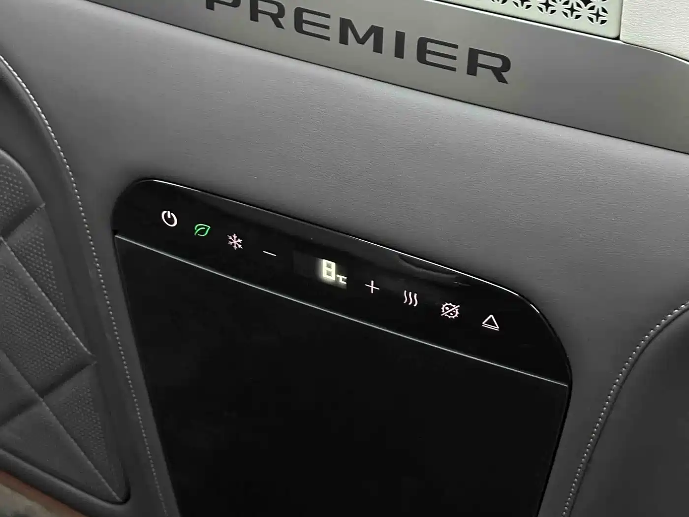 Denza D9 2023 PREMIER Founder's Edition фото 16