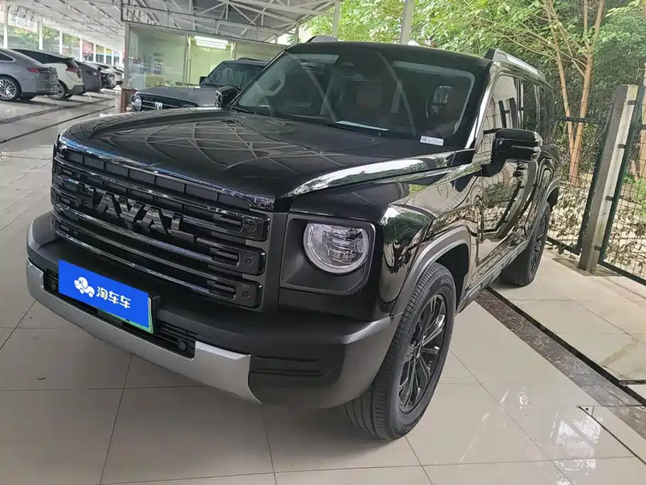 Haval Meng Long NEV 2024 — пригон из Китая