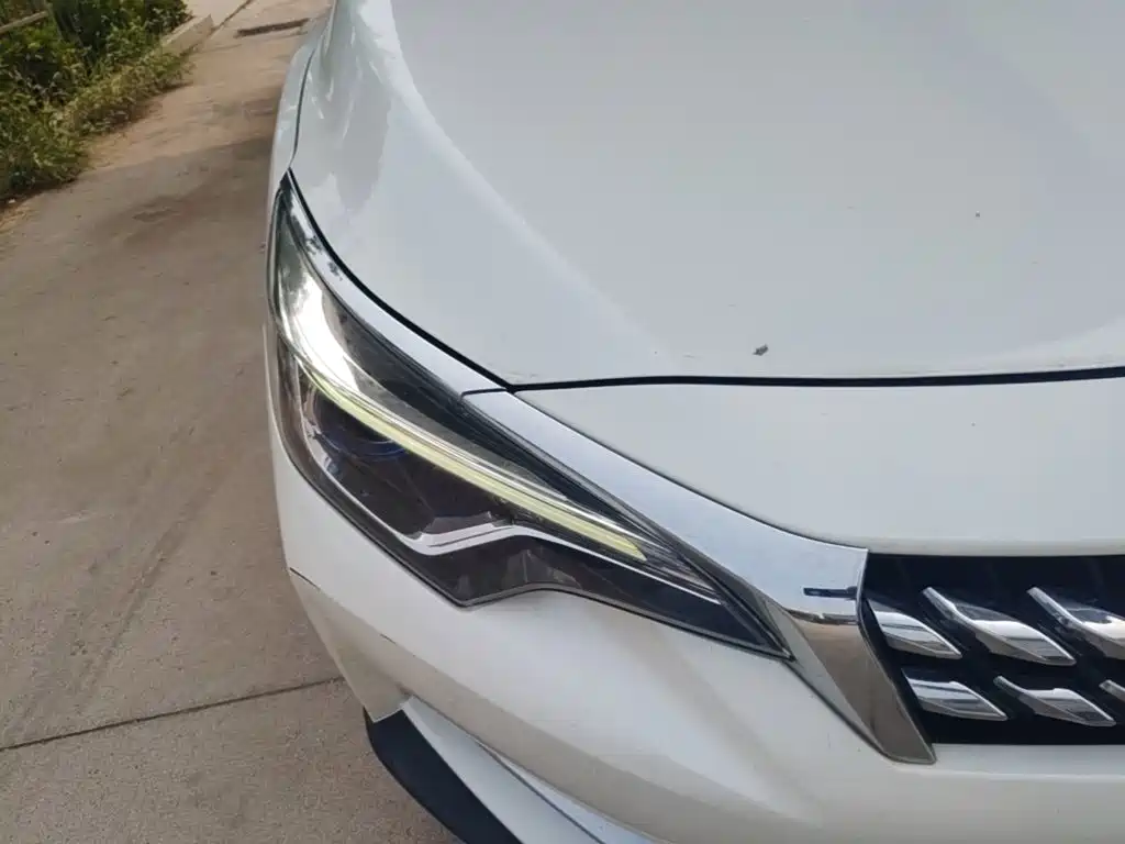 Venucia D60 2019 2019 1.6L XL CVT Smart Connect Elite Edition