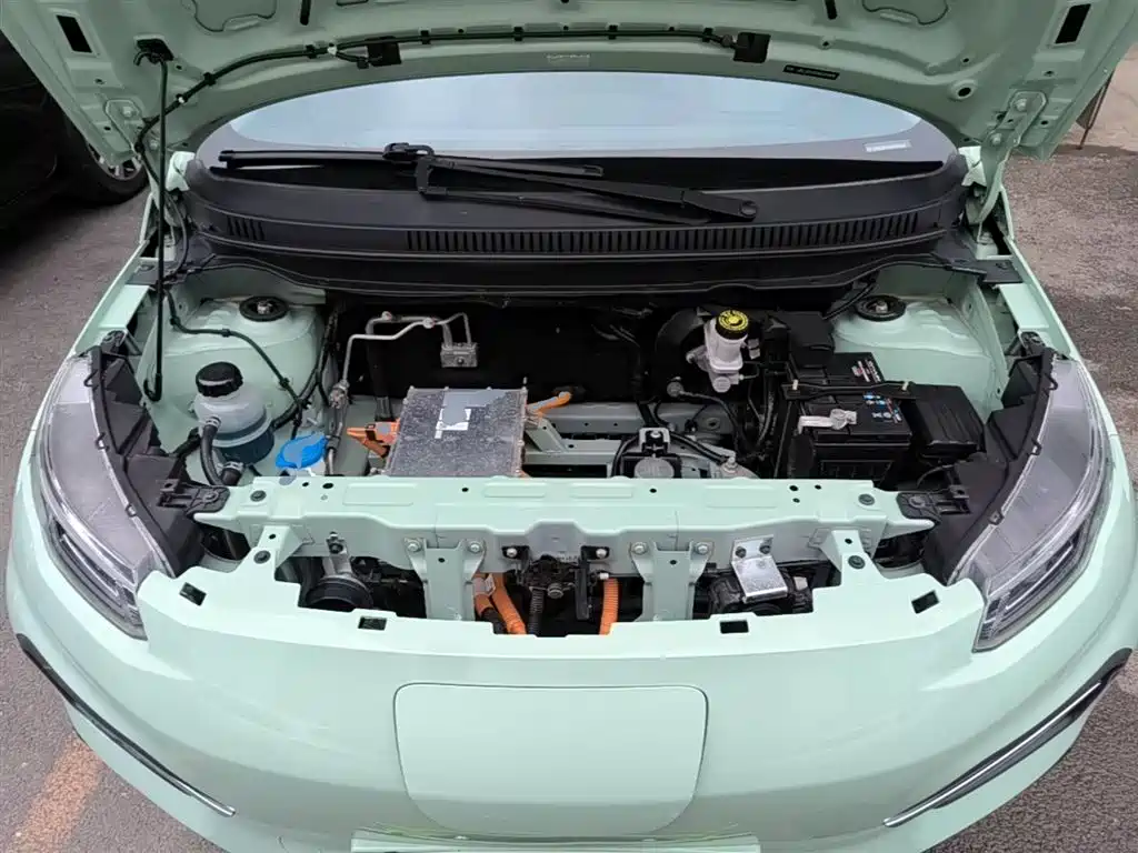Dayun Yuehu 2022 2022 30.66kWh 2WD Standard Edition