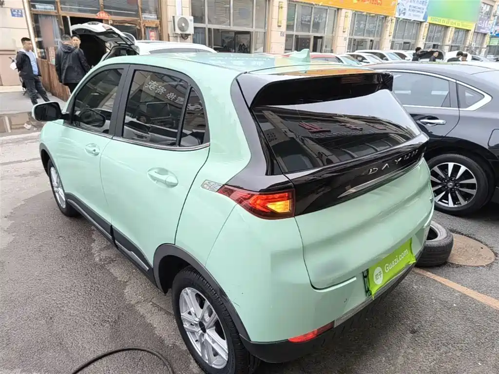 Dayun Yuehu 2022 2022 30.66kWh 2WD Standard Edition
