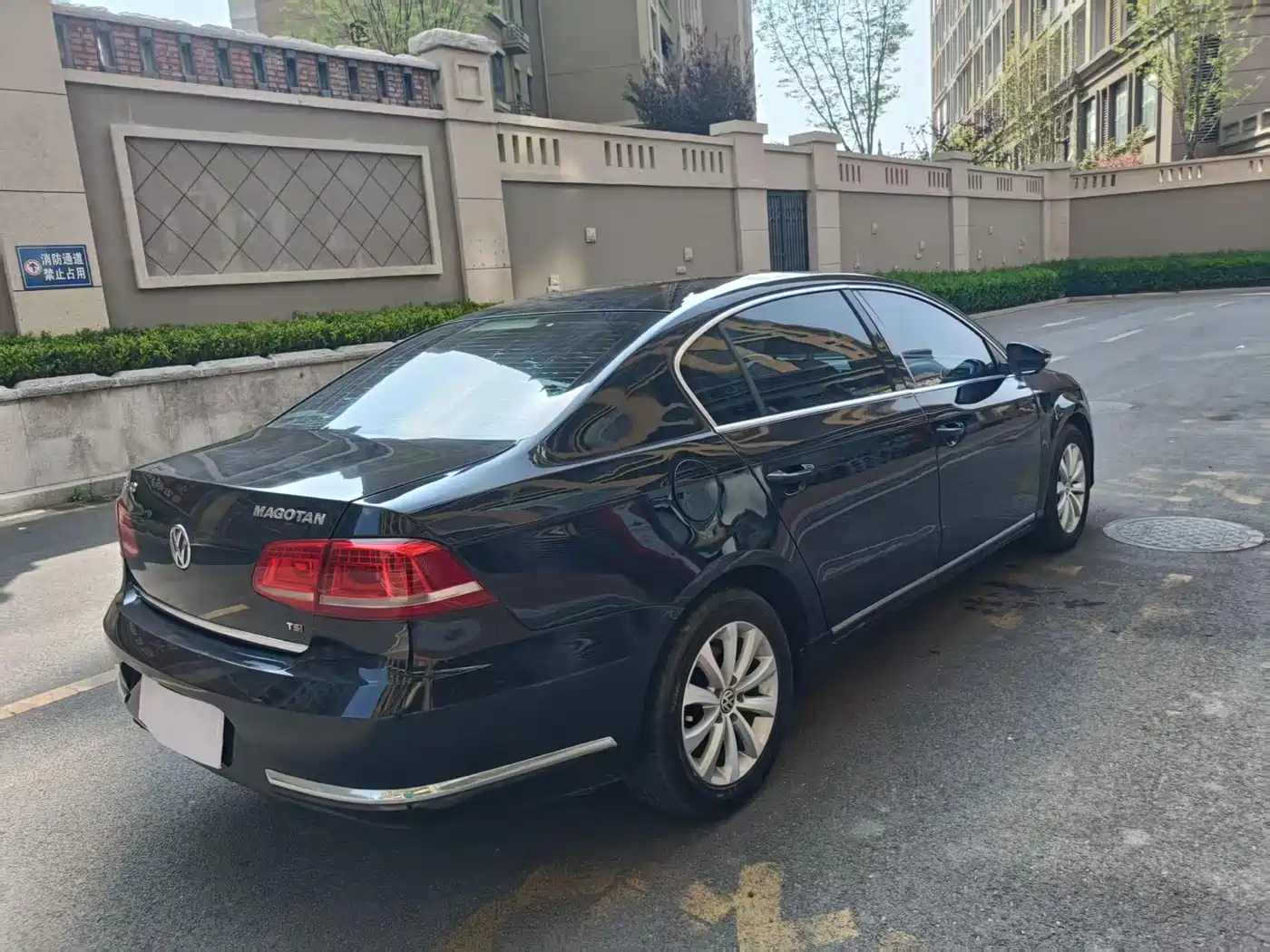 Volkswagen Magotan 2013 1.8TSI Luxury фото 14