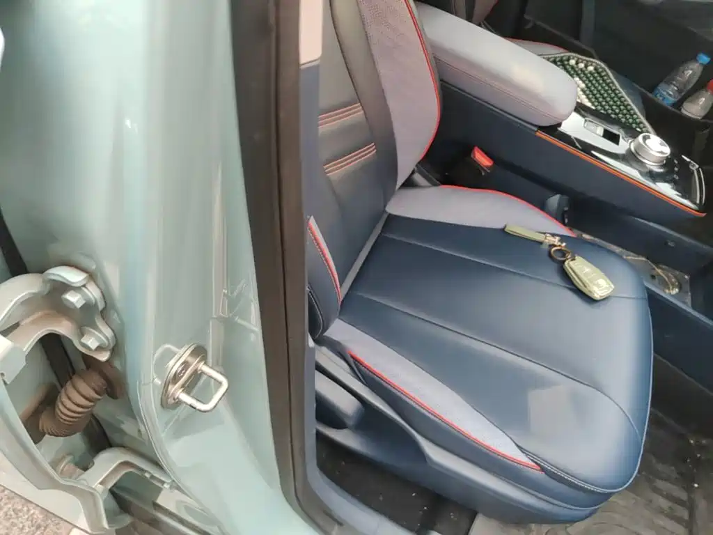 Geely Geometry E Firefly 2023 2022 401KM Delicate Tiger 4-seater