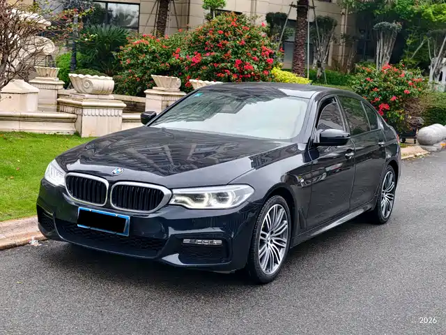 BMW 5 SERIES