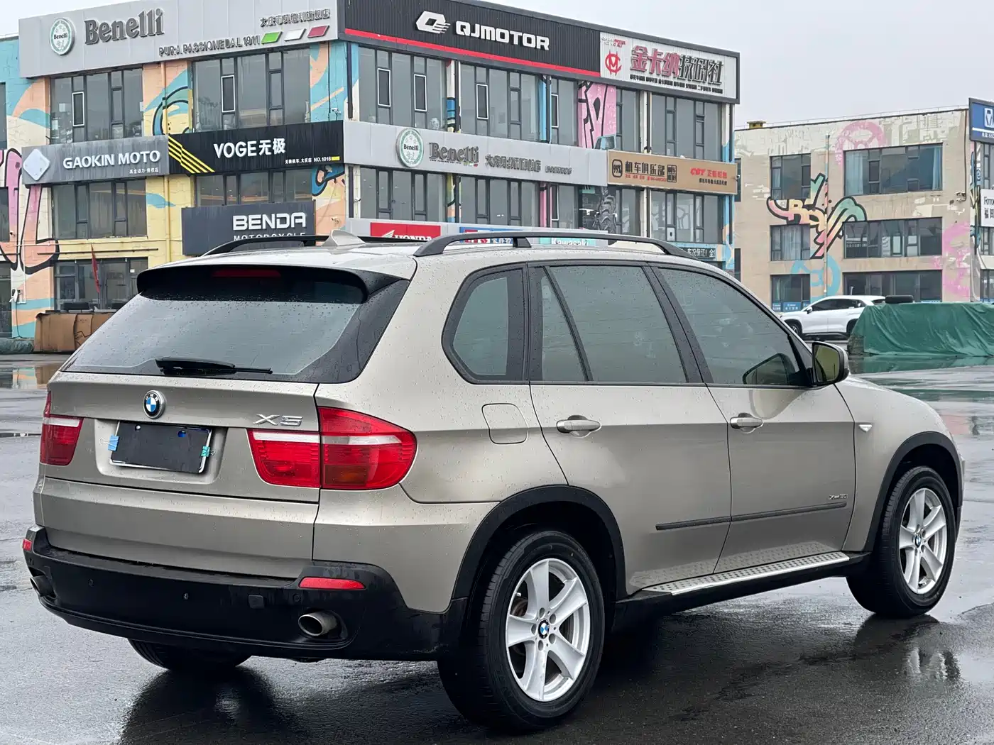 BMW X5 (Import) 2009 xDrive30i Luxury фото 4