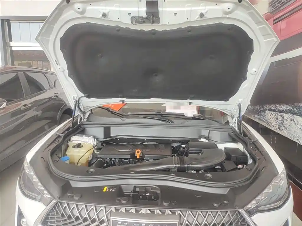 Haval F7 2021 1.5T 2WD i-Style фото 20