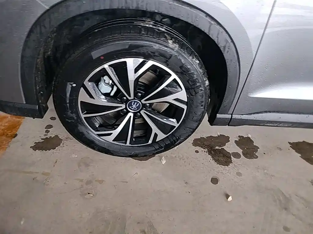 BYD Song Pro New Energy 2025 2nd Generation Smart Drive Edition DM-i 75KM Leading Type фото 25