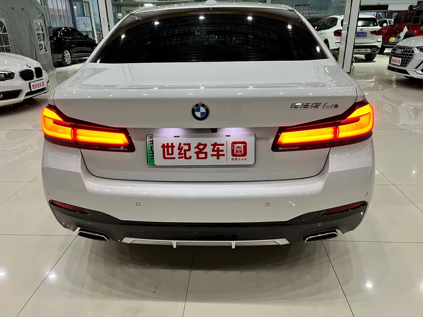 BMW 5 SERIES NEW ENERGY