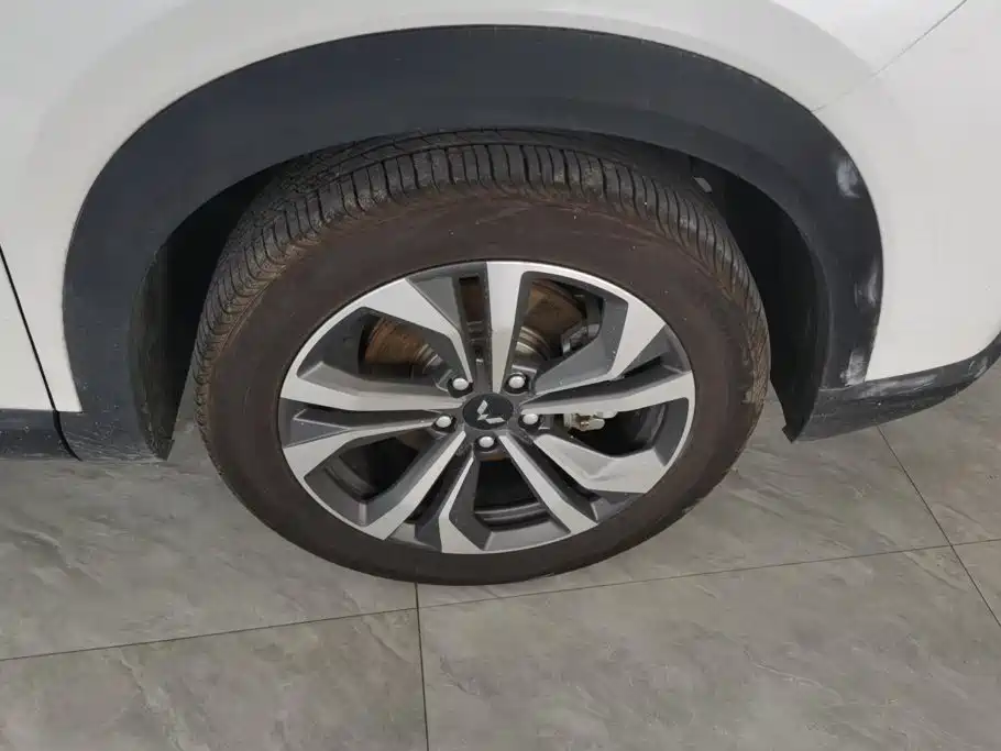 Wuling Motors Wuling Xingchen 2023 2022 2.0L DHT Electric Speed Edition