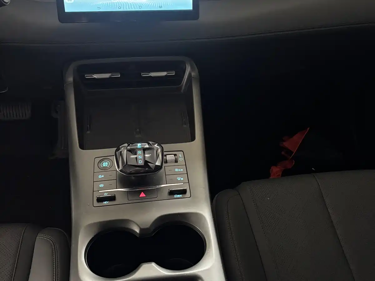 BYD Qin PLUS 2025 DM-i Smart Drive 55KM Leader фото 11