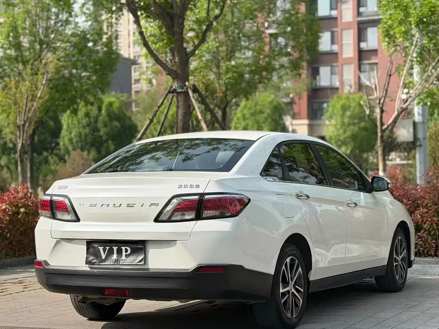 QICHEN D60