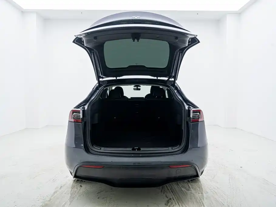 Tesla Model Y 2021 2021 Standard Range Rear-Wheel Drive