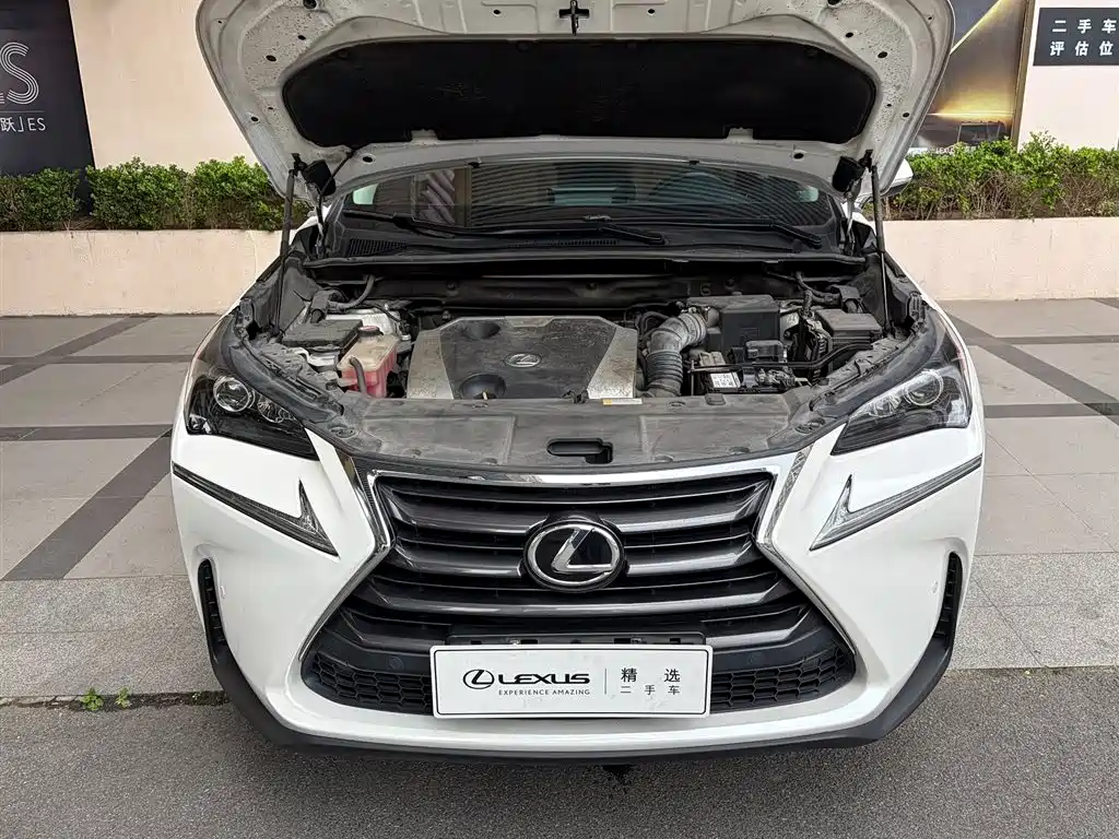Фото 15 - Lexus NX