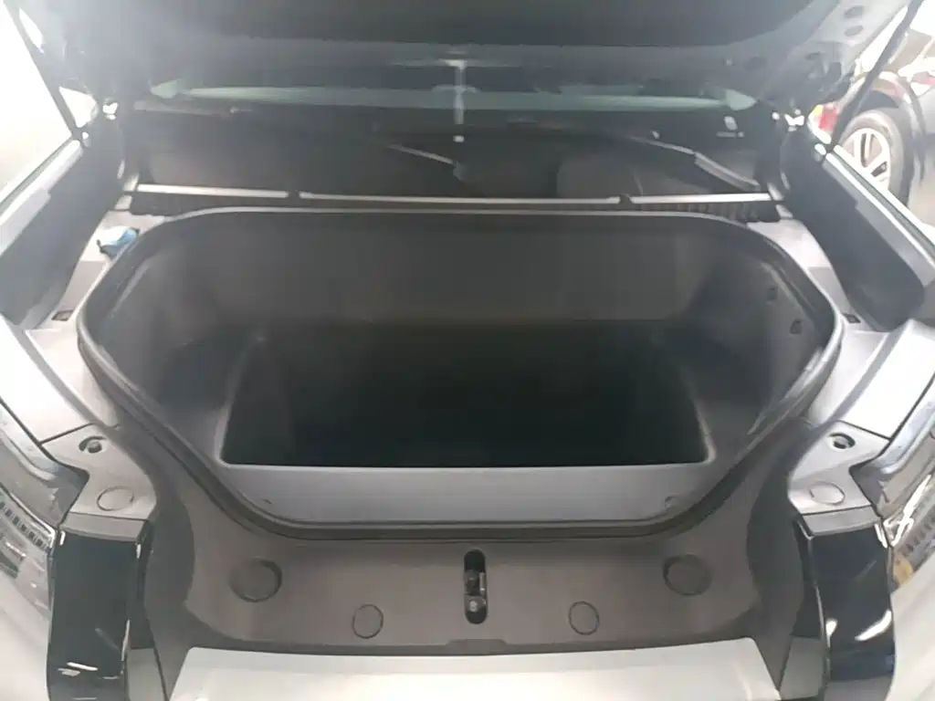 Fang Cheng Bao Titanium 3 2025 2025 501KM RWD Smart Drive Max