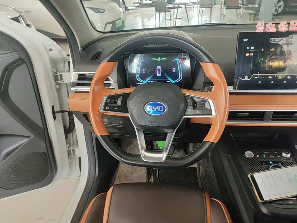 BYD e2 2021 2021 Luxury Edition